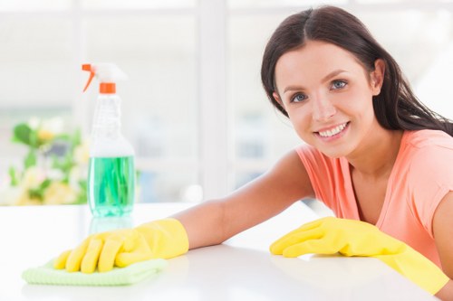 Professional domestic cleaning in a modern Docklands apartment