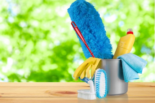 Professional oven cleaning service in Docklands