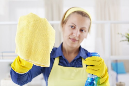 Kitchen surfaces being cleaned before move in at a Docklands property