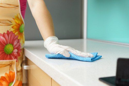 Professional carpets cleaner in Docklands restoring a home carpet