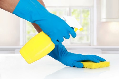 Professional cleaners in Docklands working in a modern apartment setting