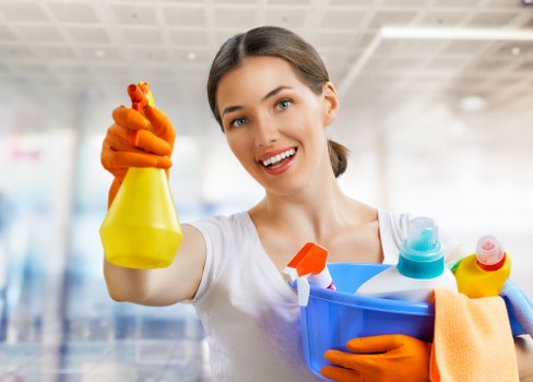 Regular home cleaning service in Docklands living room