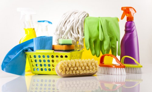 Carpet cleaning team preparing safe equipment and workspace