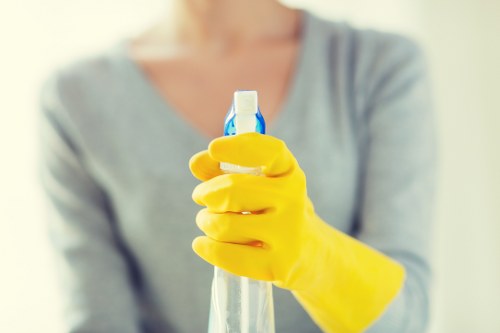 Professional cleaning company in Docklands servicing modern apartments