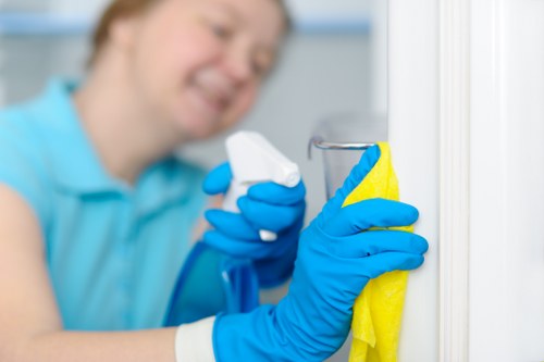 Carpet cleaning terms and conditions opening section