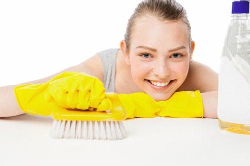 Steam cleaning process for carpets in a modern Docklands apartment