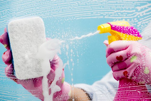 Eco-friendly home cleaners in Docklands sanitizing a bathroom with care