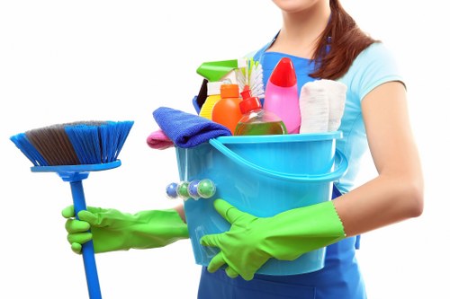 Internal review of a carpet cleaning complaint form