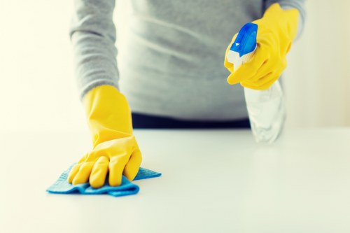 Spot treatment and deep cleaning for a Docklands sofa