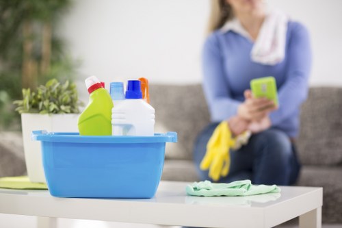 Deep cleaning treatment for a rug in Docklands