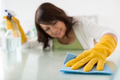 Cleaner in Docklands performing detailed deep cleaning