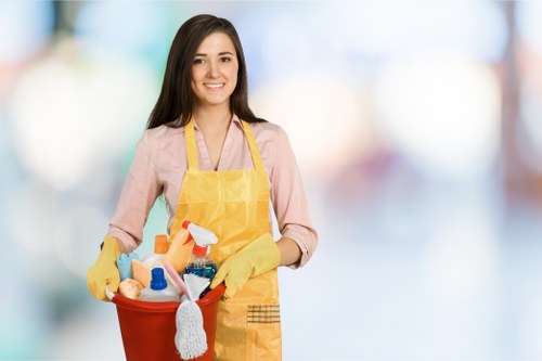Professional carpet stain removal for Docklands property