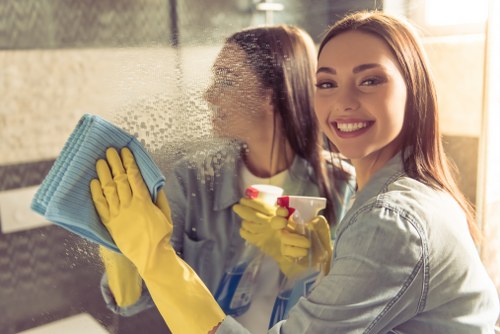 Detailed oven cleaning for a built-in Docklands appliance
