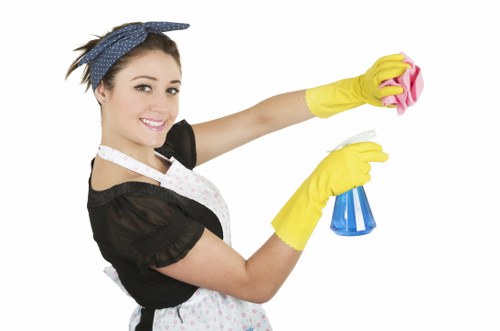 Local cleaner preparing to clean a lounge suite in Docklands property